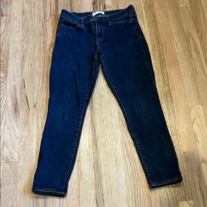 Classic Indigo Skinny Women's Jeans
